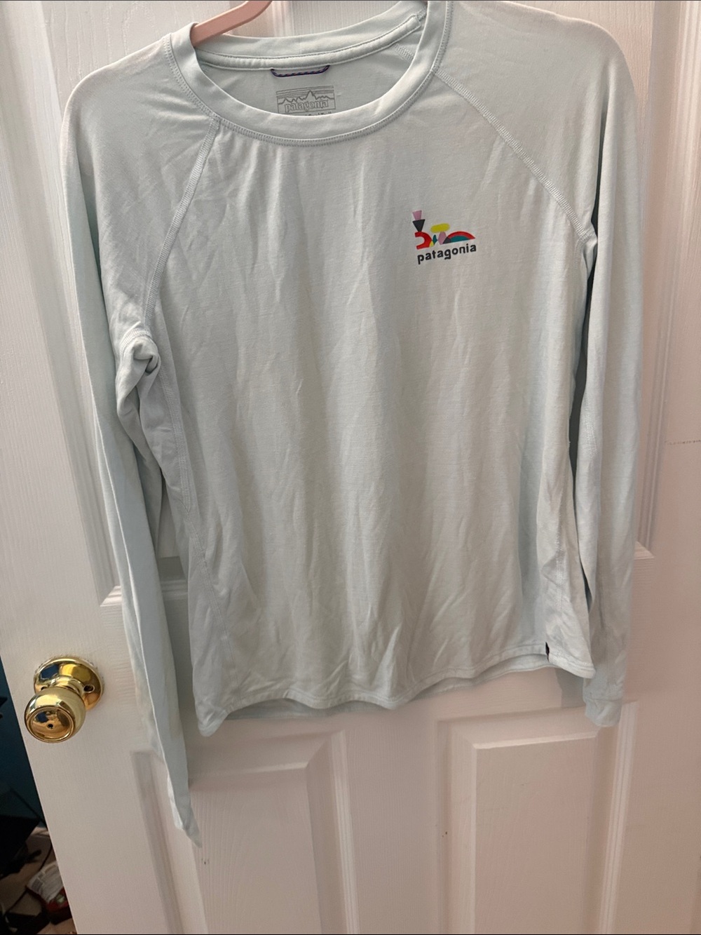 Patagonia Light Mint Long-Sleeve Crew with Multicolor Logo